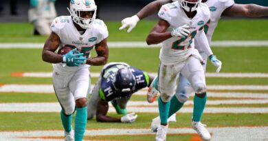 Miami Dolphins Week in Review