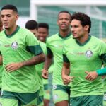 Palmeiras Rumo ao Tetracampeonato: A Grande Odisseia do Verdão!