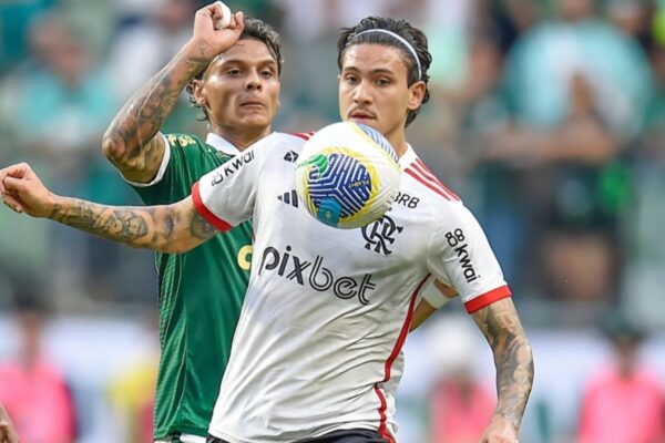 Palmeiras ou Flamengo: Quem Brilhará no Futebol Brasileiro em 2025