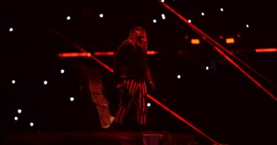 Bray Wyatt retorna à WWE após provocações de coelho branco: melhores memes e reações