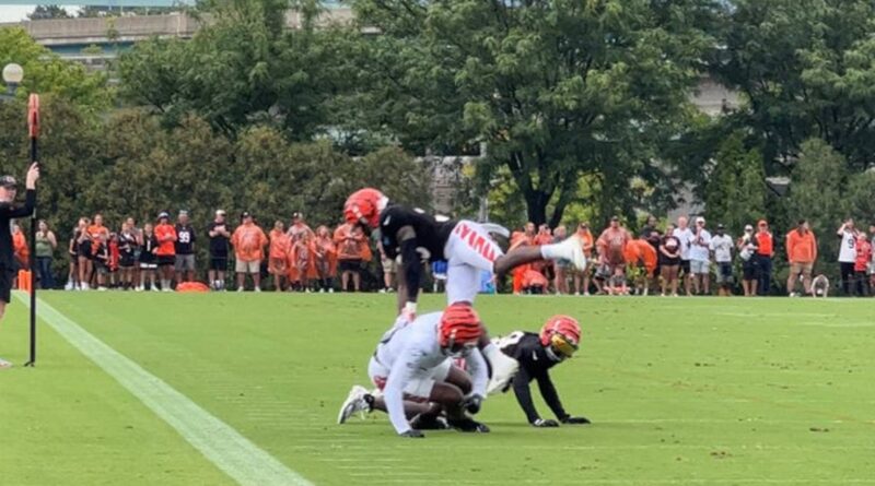 Watch: Bengals Clips and Highlights From a Rain-Filled Monday Session