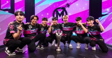 The Overwatch League Grand Finals Were Both Beautiful And Depressing
