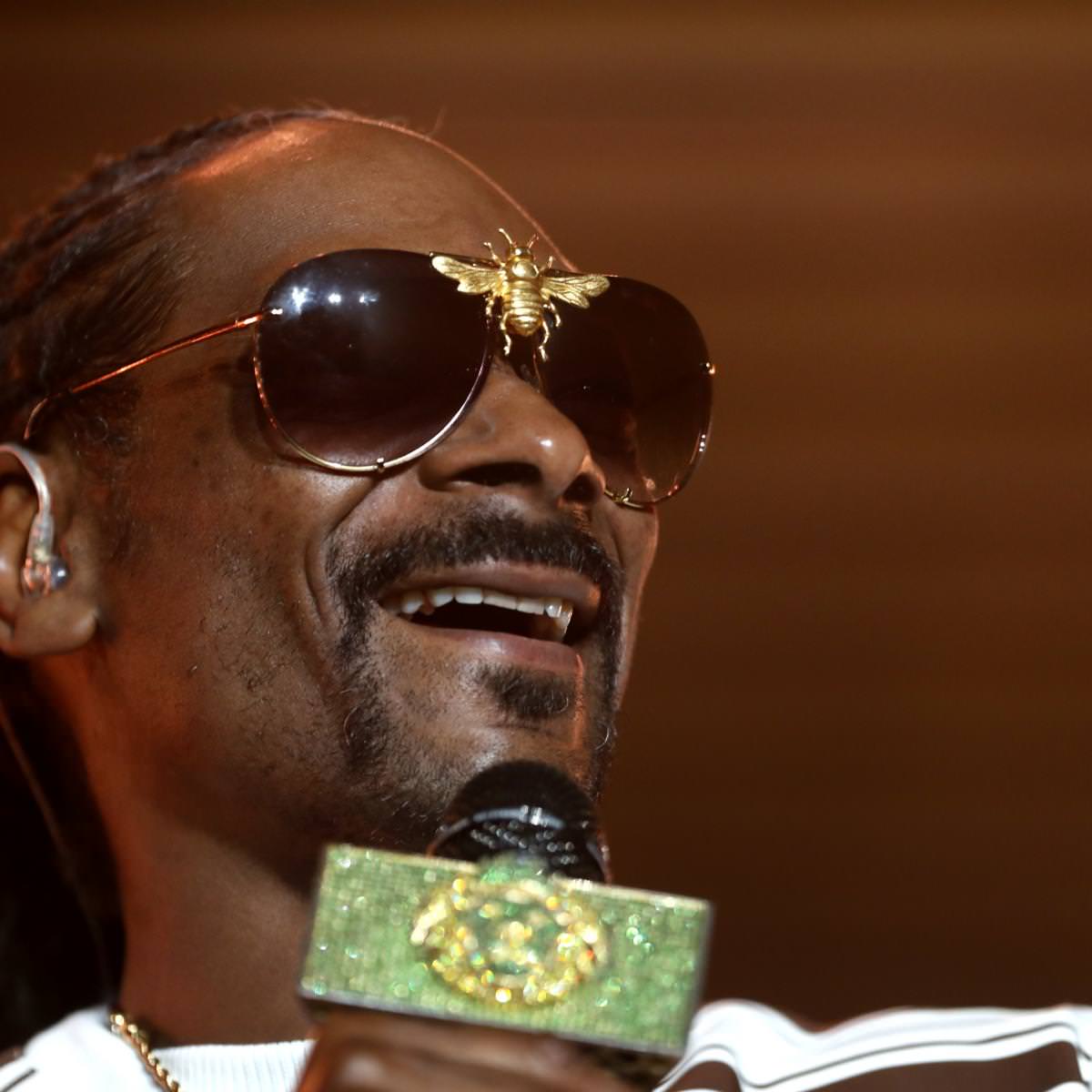 David Irving: Snoop Dogg 'Ignorant' por apoiar as políticas de maconha da NFL